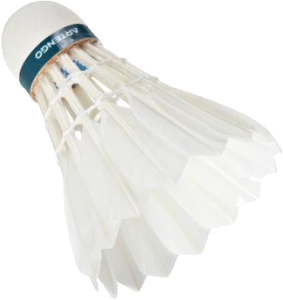 Badminton volant PNG image-10436